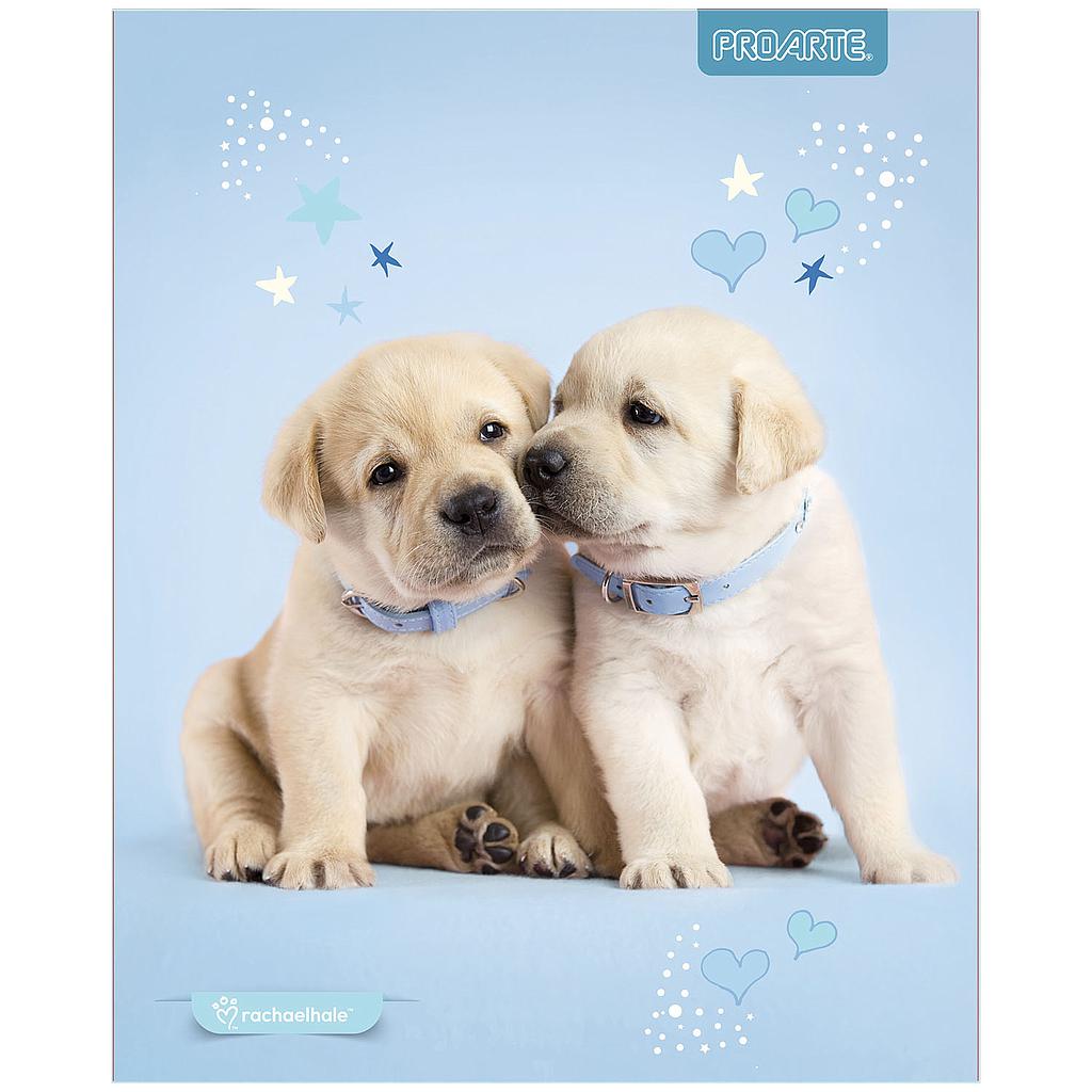 CUADERNO PROARTE UNIV. 7mm 100 Hjs ANIMALES ADORABLES 