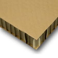 CARTON PANAL 20mm 77 X 110 cm