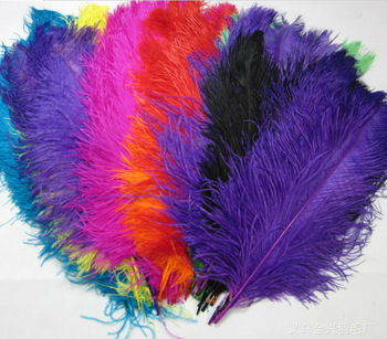 PLUMAS DE COLORES  DIF. MEDIDAS X 12 UNDS.