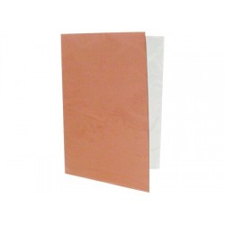 CARPETA PLASTIFICADA COLOR BEIGE