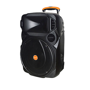 PARLANTE KARAOKE FUJITEL 120W 12 BT/FM/USB/AUX BT12L