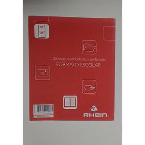 REPUESTO DE CUADERNO RHEIN 7mm 100 Hjs ESCOLAR