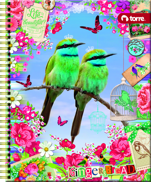 CUADERNO TORRE UNIV. 7mm 100 Hjs  GINGER Y BREAD 
