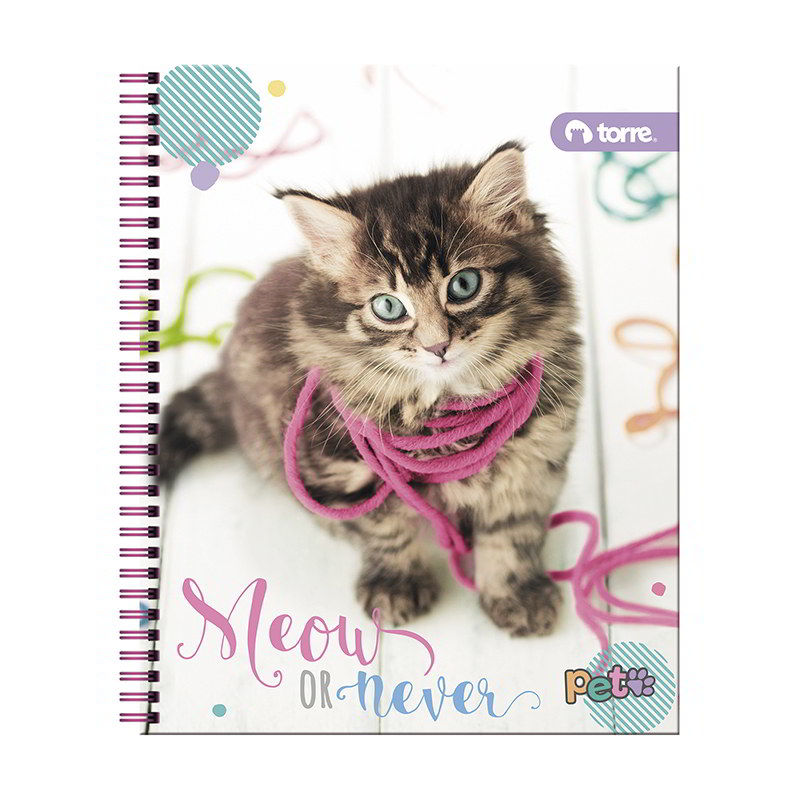 CUADERNO TORRE UNIV. CLASICO 7mm 100 Hjs PET ( DESC. )