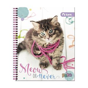 CUADERNO TORRE UNIV. CLASICO 7mm 100 Hjs PET ( DESC. )