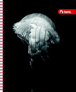CUADERNO TORRE UNIV. 7mm 100 Hjs BLACK Y WHITE 