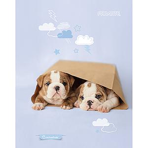 CUADERNO PROARTE CARTA 5mm 120 Hjs ANIMALES ADORABLES 8VA 