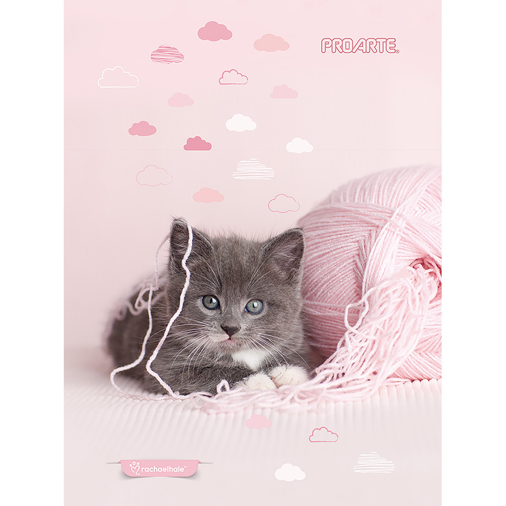 CUADERNO PROARTE 1/2 OFICIO 7mm 150 Hjs ANIMALES ADORABLES  4TA