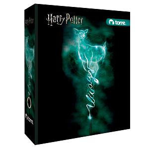 ARCHIVADOR TORRE OFICIO ANCHO HARRY POTTER