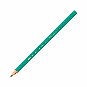 LAPIZ GRAFITO BIC EVOLUTION Nº 2 HB  