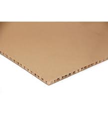 CARTON PANAL 10 mm 55 X 77 cm