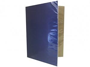 CARPETA PLASTIFICADA COLOR AZUL ( CH )