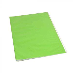 CARPETA PLASTIFICADA COLOR VERDE CLARO ( CH )