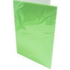 CARPETA PLASTIFICADA C/ACCO CLIP COLOR VERDE CLARO ( CH )