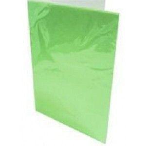 CARPETA PLASTIFICADA C/ACCO CLIP COLOR VERDE CLARO ( CH )