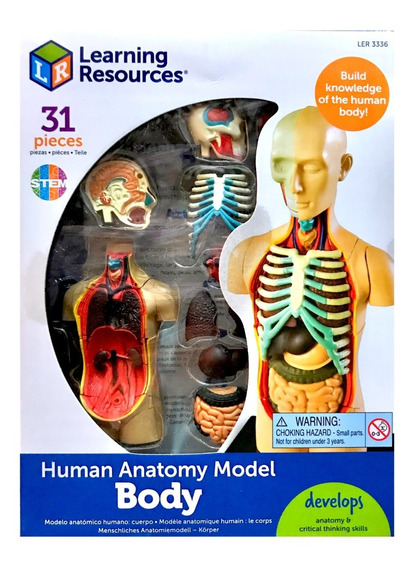 MODELO ANATOMICO CUERPO HUMANO 31PZS. (LER-3336) 8+