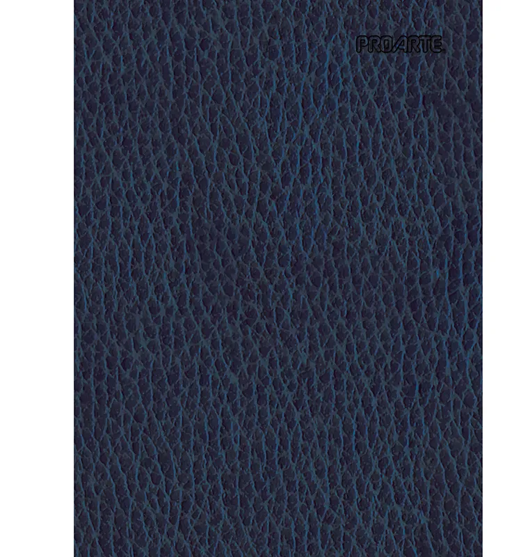 CUADERNO PROARTE CARTA 7mm 150 Hjs ECOCUERO C/ESPIRAL