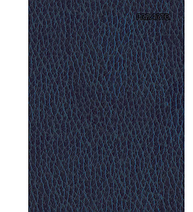 CUADERNO PROARTE CARTA 7mm 150 Hjs ECOCUERO C/ESPIRAL