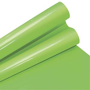 PLIEGO PAPEL LUSTRE HAND 50X70 CM. VERDE CLARO