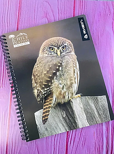CUADERNO RHEIN UNIV. 7mm 100  Hjs NATIVO