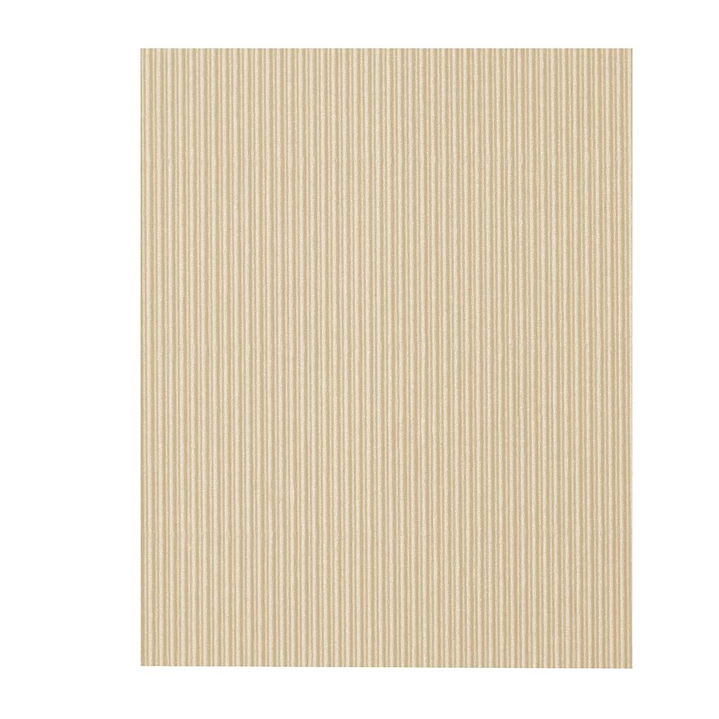 CARTON M/CORRUGADO PROARTE 50 x 70 BEIGE
