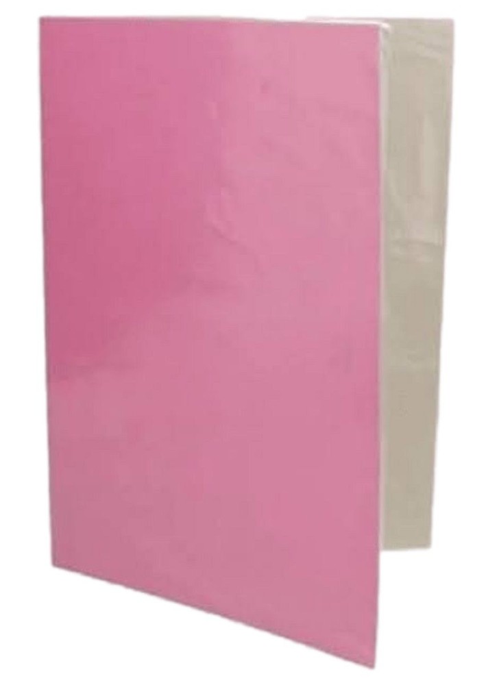 CARPETA PLASTIFICADA  COLOR ROSADA