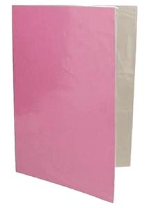 CARPETA PLASTIFICADA  COLOR ROSADA