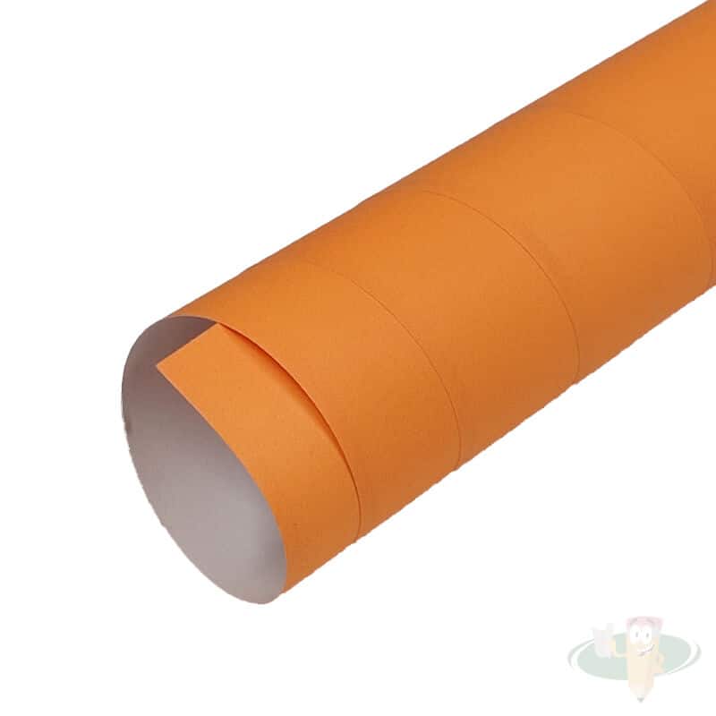 PLIEGO DE CARTULINA PAREDONES DAMASCO 50 X 75 CM