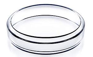CAPSULA DE PETRIC PLASTICA 60 ML K.M.