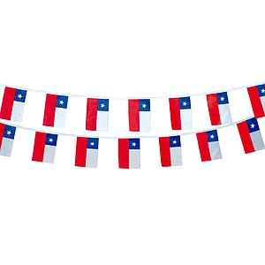 GUIRNALDA FIESTAS PATRIAS BANDERA 10MT. X 20CM. FELIZ GROUP(420104)