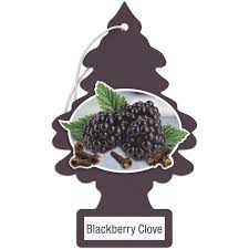 DESODORANTE PINO AUTOMOVIL BLACKBERRY CLOVE