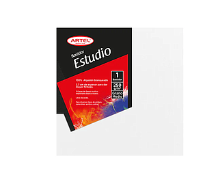 BASTIDOR ARTEL ESTUDIO 250g/m 24 x 30 Cm