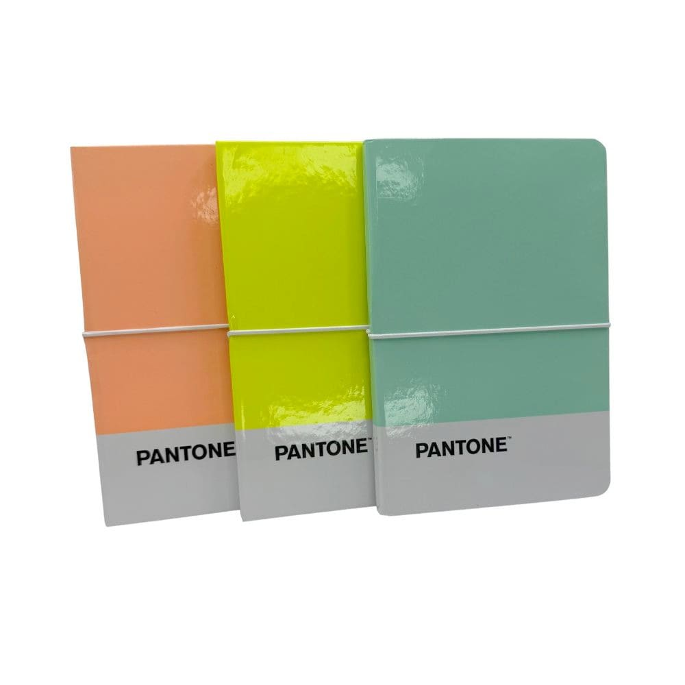 LIBRETA MULTIVERSO PANTONE  64 Hjs CON ELASTICO COLORES PASTELES