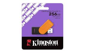  PENDRIVE KINGSTON DTXS 256 GB DATATRAVELER EXODIA  3.2