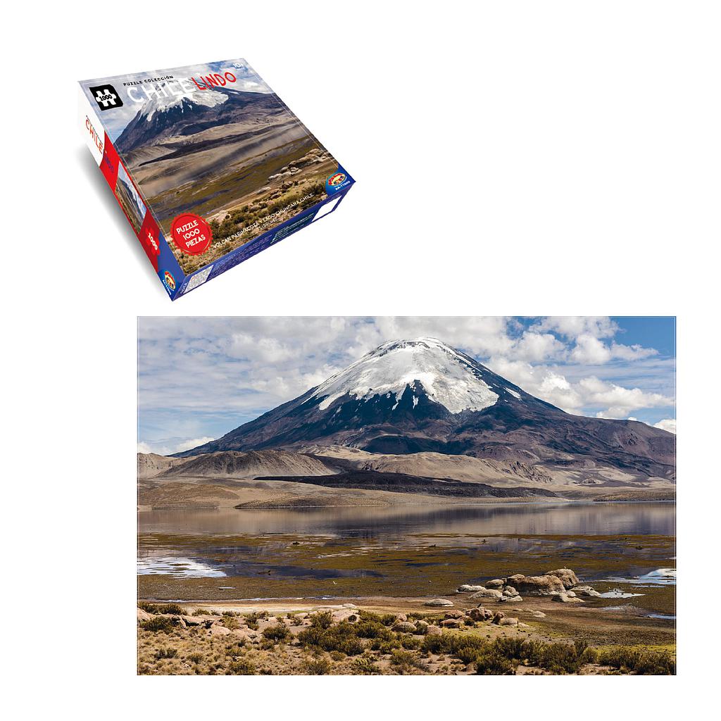 PUZZLE 1000 PIEZAS 9 MODELOS (COD-AA11000)