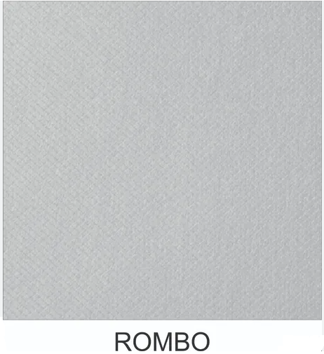 HOJA CARTULINA ASTROSILVER CARTA POR UNIDAD